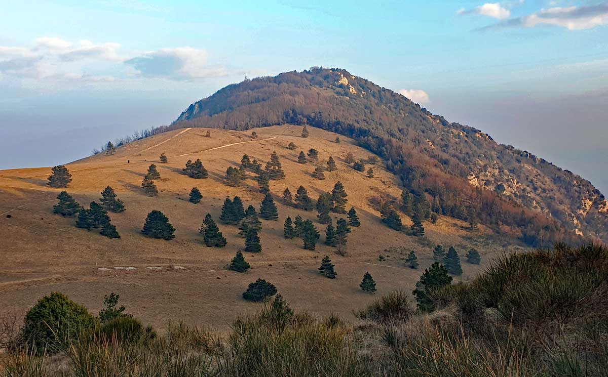 Veduta panoramica sulla cima del Monte Murano, nel comprensorio del Parco Regionale Gola della Rossa e Frasassi