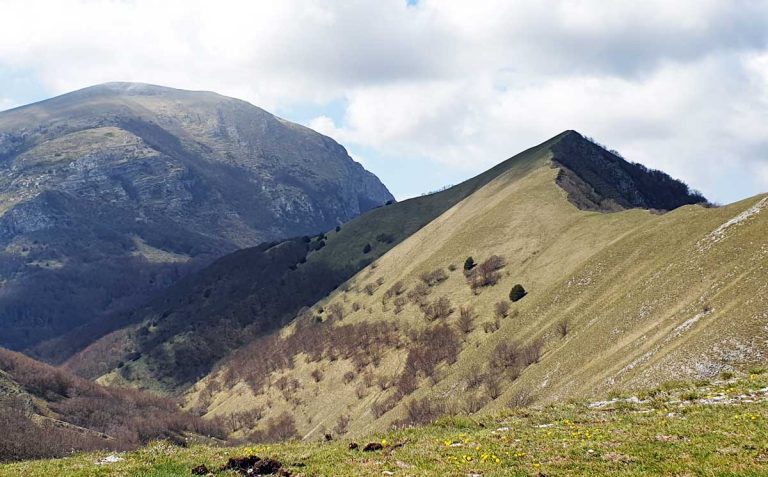Veduta panoramica sulla cima del Monte Lo Spicchio, nel gruppo del Monte Cucco