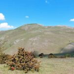 Una veduta panoramica sulla vetta del Monte Prefoglio, in escursione guidata con Quattropassi