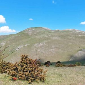 Una veduta panoramica sulla vetta del Monte Prefoglio, in escursione guidata con Quattropassi