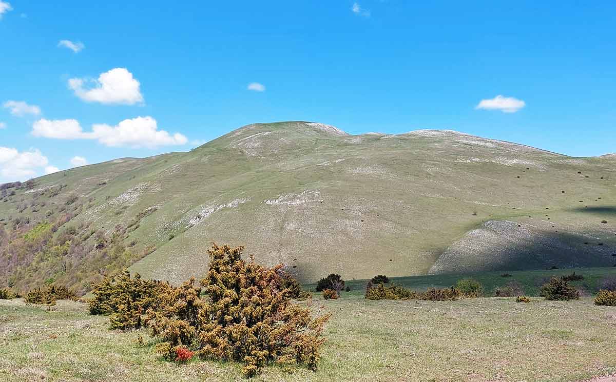 Una veduta panoramica sulla vetta del Monte Prefoglio, in escursione guidata con Quattropassi