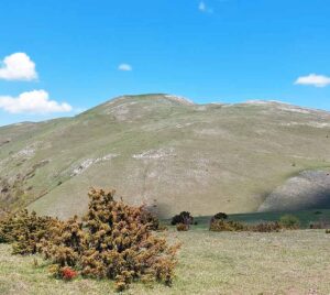 Una veduta panoramica sulla vetta del Monte Prefoglio, in escursione guidata con Quattropassi
